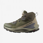 Salomon Elixir Mid GTX Meeste Oliiviroheline L47697800 42