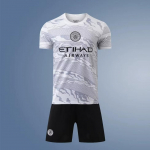 24/25 Man City Draakoniaasta Eriv&auml;ljaanne Helehall XXL