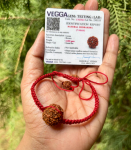LAB SERTIFITSEERITUD 7 Mukhi RUDRAKSHA K&auml;ev&otilde;ru Reguleeritav, Saatmukhi Rudraksh 7 N&auml;oga Rudraksham 1 tk Jooga Palve Tervendamine Meditatsioon Tasuta saatmine One Size white