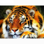 Teemanttikandid Tiiger ise Teemantmaal T&auml;is&uuml;mmargused loomad Pilt kivist 20X30CM