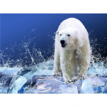 5D teemantmaal J&auml;&auml;karu ristpistega teemanttikandid 20X30CM