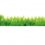 Rohelise muru p&otilde;randaliistud PVC p&otilde;randaliistud seinakleebis Living Kids roheline