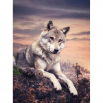Wolf Animal DIY Teemantmaal V&auml;rviline Hundi Teemanttikandid Korss&otilde;mblus Hunt Rhinestone Mosaiic Maalimine Kodukaunistus Full Round 20x30CM