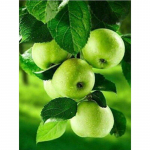 DIY Lill 5D Teemantmaal T&auml;isringi puur Mosaiik Teemant Tikand Rhinestone Ristpistes Seinakunst Kodukaunistus Full Round 20x30CM