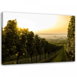 Feeby l&otilde;uenditr&uuml;kk, Green vineyard 60x40 roheline