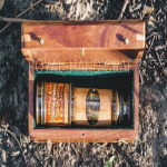 W.OTTWAY EALING LONDON Kuningliku merev&auml;e teleskoop London 1915 puidust klaaskastiga