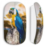 Parrot juhtmevaba hiir