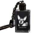 Cornish Rex - Crystal pendant with cat photo, illuminated pendant, unique gift by Art-Dog brand