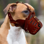 Ehtne Nahk Koera Suukorv Hammustamisvastane Koerte Treeningu Suukorv Ei Hammusta Anti-Haukumine Lemmiklooma Mask Keskmisele Suurele Koerale Pitbull Labrador M