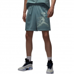 Jordan Sport Dri FIT Jumpman Vabaaja L&uuml;hikesed P&uuml;ksid Meeste HQ8666-041 L