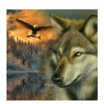 3D DIY Teemantmaal Ristpistes Wolf & Eagle Crystal Teemanttikandid N&auml;put&ouml;&ouml; T&auml;ielik teemantkomplekt Dekoratiivne 20X30CM