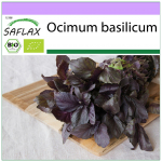 SAFLAX &ndash; Orgaaniline &ndash; Basiilik Punane &ndash; 400 seemet &ndash; Ocimum basilicum