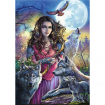 DIY 3D teemantmaaling kaunitari ja hundi tikandid ristpistes k&auml;sit&ouml;&ouml;na kodukaunistus Full Round 20x25CM