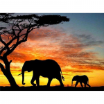 DIY 5D teemantmaaling elevant t&auml;isring puur Teemanttikandid Loomad Mosaiik Rhinestone Pildid Kodukaunistus Seinakunst Full Round 20x30CM