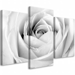 Kolmeosalise pildiga l&otilde;uenditr&uuml;kk White Rose Flowers 60x40 valge/must