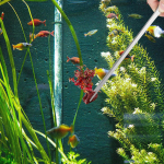 2-osalised akvaariumi pintsetid roomajate s&ouml;&ouml;tmistangid roostevabast terasest madu jaoks