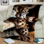 Soe ja hubane armas kassi mustriga flanelltekk diivanile, voodile, diivanile, kontorisse - pehme ja rahustav digitaaltr&uuml;kiga visketekk 30x40in