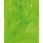 ARTEMIO Sachet de Plumes Vert