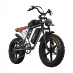 JANSON X70G elektriratas 750W harjadeta alalisvoolumootoriga 48V20AH akuga 20-tollise laiuse rehviga t&auml;iskasvanutele m&otilde;eldud m&auml;gijalgratas