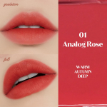Fixing Tint 20colors 01 Analog Rose