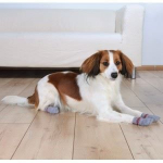 Trixie Chaussettes pour chiens (Taille: M-L