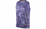 Nike Nba LeBron James Los Angeles Lakers 2022/23 Select Series S&auml;rk FD4093-580 M