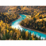 T&auml;isringi puur Teemanttikandid Jungle River 5D DIY Teemantmaal Ristpistes Rhinestone 20X30CM