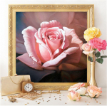 5D teemantmaaling lillede pildid kividest Teemantmosaiigist ristpistega roos 20X30CM