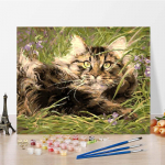 Kodukaunistus Kunst Numbrid &Otilde;limaal Digitaalne &Otilde;limaal DIY Maalimine Numbrite j&auml;rgi L&otilde;uend 40x50cm no frame