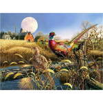 5D DIY Teemantmaal Ilus faasanist ristpistes komplekt Mosaiik Teemanttikandid Roos T&auml;is&uuml;mmargune/ruudukujuline puur Kodukaunistus Round 20x30cm