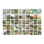 50 tk/raamat P&auml;ikeseloojangu romantika seeria dekoratiivsed kleebised Scrapbooking isetegemise pulgasildid p&auml;evik Kirjatarbed Albumi ajakirjade kleebis