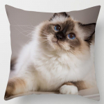 18-tolline Cat Collection padjap&uuml;&uuml;r kodu ja kontori sisekujundusega ruudukujuline padjap&uuml;&uuml;r 45x45cm