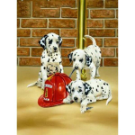 5D Teemantmaali Looma Koer Rhinestone Pilt Teemanttikandid Mosaiik Kodukaunistus K&auml;sitsi valmistatud Mosaiik Tikand Kingitus Full Round 20x30CM