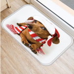 Moodne koermustriline libisemisvastane vaip p&otilde;randal 3D loomade suur vaip elutuba vannitoamatt libisemisvastane vaip ruumi sisustus 40x120cm