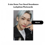 Stray Kids 5-STAR Dome Tour 2023 Souli erifotokaardid