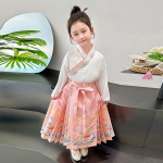 Hanfu T&uuml;druku Hobuse N&auml;oga Seelik, Vanaaja Kost&uuml;&uuml;m, &Uuml;limalt Jumalik Tangi Kost&uuml;&uuml;m, Printsessi T&uuml;druku Kleit 120 roosa