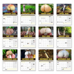 Parim maailmas Alumine kalender Huvitav perekalender uusaasta kalender ruumi seina kuup&auml;evade kalender One Size