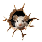 Seinakleebis V&auml;ikeste hiirte hiireaugu seinakleebis &ndash; realistlik naljakas armsate hiirte kodukleebis