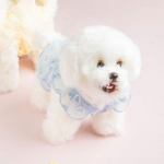 [Lemmikloom] S&uuml;damekujuline l&auml;bipaistev l&uuml;hike T-s&auml;rk M