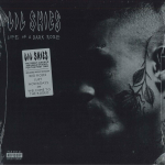 LP plaat LIL SKIES - Life Of A Dark Rose RCV1676961 Atlantic, Rhino 2022 USA R&auml;pp & Hip-Hop/R&B