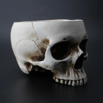 Vaigust Halloweeni Kolju Kompvekikauss, Istutusn&otilde;u Lillepott, Skulptuur Skeleti Kuju Avatud Skeleti Kolju Figuur Keskmine Kauss