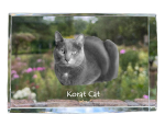Korat - crystal with a picture of a cat, photo in glass, modern exhibition of Art-Dog brand photo puhas