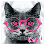 Les Tr&eacute;sors De Lily [P6479] &ndash; l&otilde;uend  A love of Animals  hallroosa (kass) - 40x40 cm Heleroosa