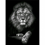 5D Teemantmaal Mustvalge Loomad Tikand Ristpistes T&auml;is&uuml;mmargune mosaiik L&otilde;vi Tiiger Koer Seinale Full Round 20x30CM