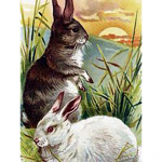 Isetegija j&auml;nes 5D teemantmaal t&auml;isnurkne puur Rhinestone loomade teemanttikandid ristpistes komplekt Kodukaunistuse seinakunst kingitus Full Round 20x30CM