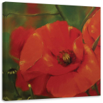 L&otilde;uenditr&uuml;kk Red Poppies Plants 30x30 punane