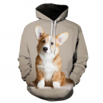 Kevadine s&uuml;gismood armas corgi saksa lambakoer 3D prindiga meeste kapuuts, pikkade varrukatega dressipluus Naiste pullover, &uuml;lisuured topid M
