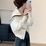 Design Sense Polo kaelusega t&otilde;mblukuga kampsun kardigan naiste 2023. aasta s&uuml;gisene pikkade varrukatega kudum kampsun kardigan naiste topid One Size roheline