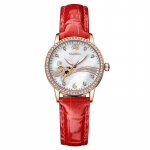 WEISIKAI 6022 naiste k&auml;ekellad Uus TOP-br&auml;ndi luksuslik karbiga naiste k&auml;ekell, veekindel helendav automaatne meeste mehaanilised k&auml;ekellad roheline