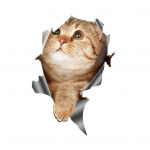 Creative Paster Kergestipuhastava efektiga Armas p&auml;ikesekindel 3D-autokassi kleebis aknale 2